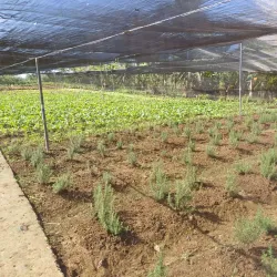 Local Farms and Agricultural Tours - La Lima