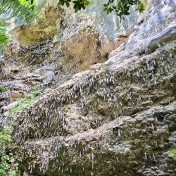 Nearby Natural Trails - La Lima