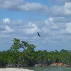 Playa Covarrubias - Las Tunas