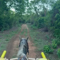 Reserva Ecológica Punta de Maisí - Las Tunas