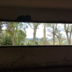 Local Coffee Plantations - Mayari