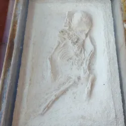 Mayarí Municipal Museum - Mayari