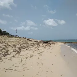 Alejandro de Humboldt National Park - Moa