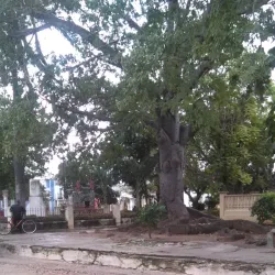 Parque Central - Puerto Padre