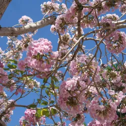 Parque Leoncio Vidal - Santa Clara