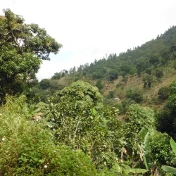Caguanes National Park - Yaguajay