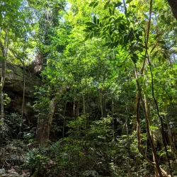 Caguanes National Park - Yaguajay