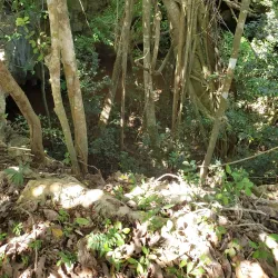 Caguanes National Park - Yaguajay