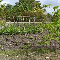 Sancti Spíritus Province Countryside - Yaguajay
