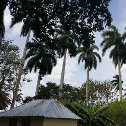 Sancti Spíritus Province Countryside - Yaguajay