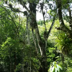 Sancti Spíritus Province Countryside - Yaguajay