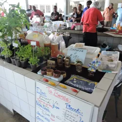 Barber Sunday Market - Barber