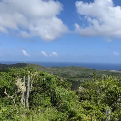 Christoffel National Park - Barber