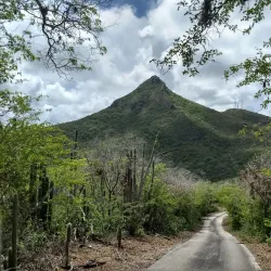 Christoffel National Park - Barber