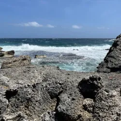 Christoffel National Park - Barber