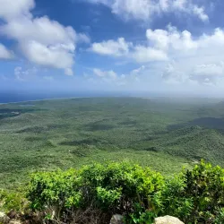 Christoffel National Park - Barber