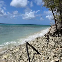 Hiking and Nature Trails - Barber