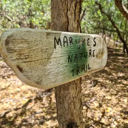 Hiking and Nature Trails - Barber