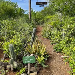 Hiking and Nature Trails - Barber