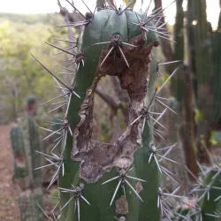 Hiking and Nature Trails - Barber
