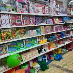 Local Artisans and Craft Shops - Barber