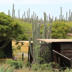 Savonet Museum - Barber