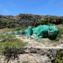 Shete Boka National Park - Barber