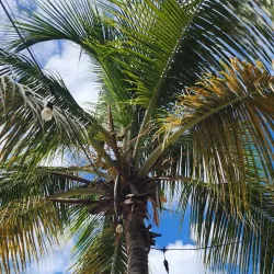 Blue Bay Marine Park - Blue Bay