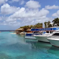 Curacao Sea Aquarium - Blue Bay