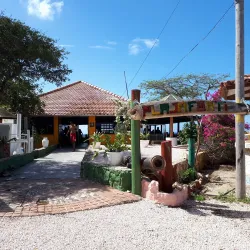 Playa Forti - Buena Vista