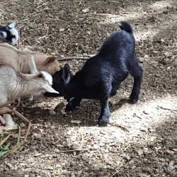 Botanical Gardens - Groteberg