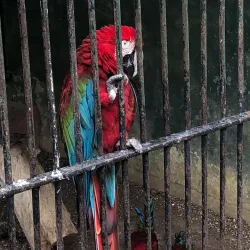 Botanical Gardens - Groteberg