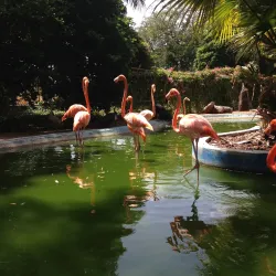 Botanical Gardens - Groteberg