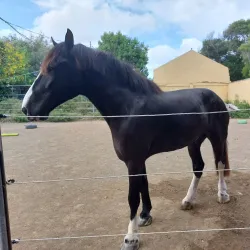 Botanical Gardens - Groteberg