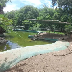 Botanical Gardens - Groteberg