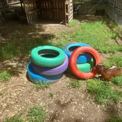 Botanical Gardens - Groteberg