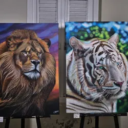 Community Events and Festivals - Groteberg