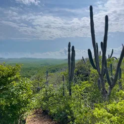 Groteberg Hiking Trails - Groteberg