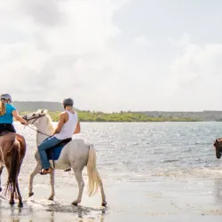 Horseback Riding Tours - Groteberg