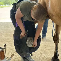 Horseback Riding Tours - Groteberg
