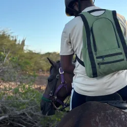 Horseback Riding Tours - Groteberg