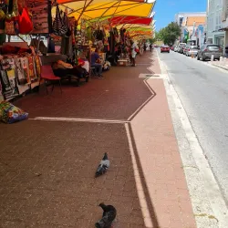 Local Artisan Markets - Groteberg