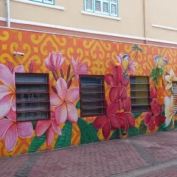 Local Artisan Markets - Groteberg