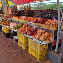 Local Artisan Markets - Groteberg