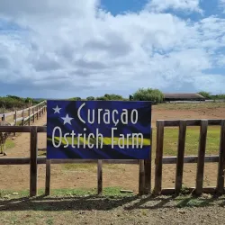 Local Curacao Farm Tours - Groteberg