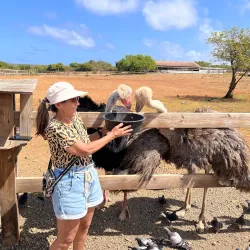 Local Curacao Farm Tours - Groteberg