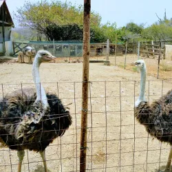 Local Curacao Farm Tours - Groteberg