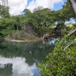 Nature Reserve near Groteberg - Groteberg