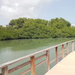 Nature Reserve near Groteberg - Groteberg