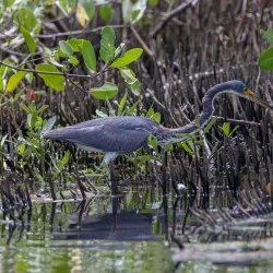 Nature Reserve near Groteberg - Groteberg